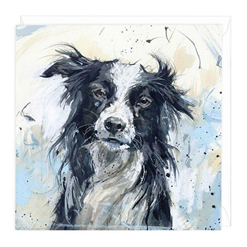 Card Border Collie